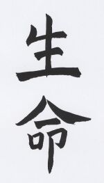 JT CZ 88 Shen Min.jpg